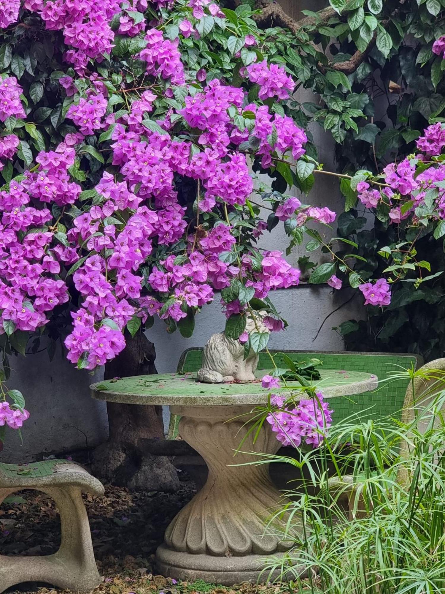 Vatican Fairytale Garden Rom Exterior foto